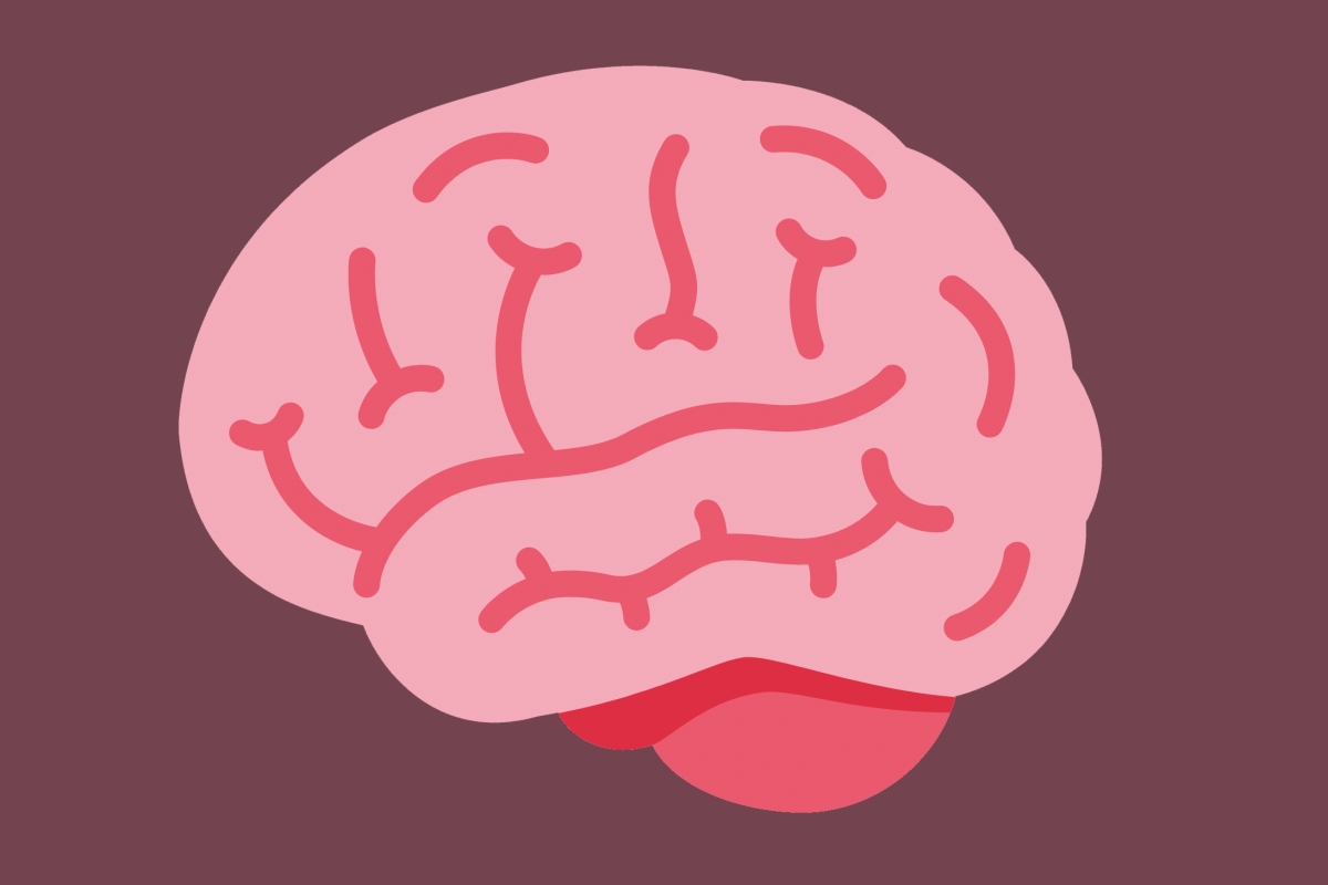 Zeichnung eines Gehirns