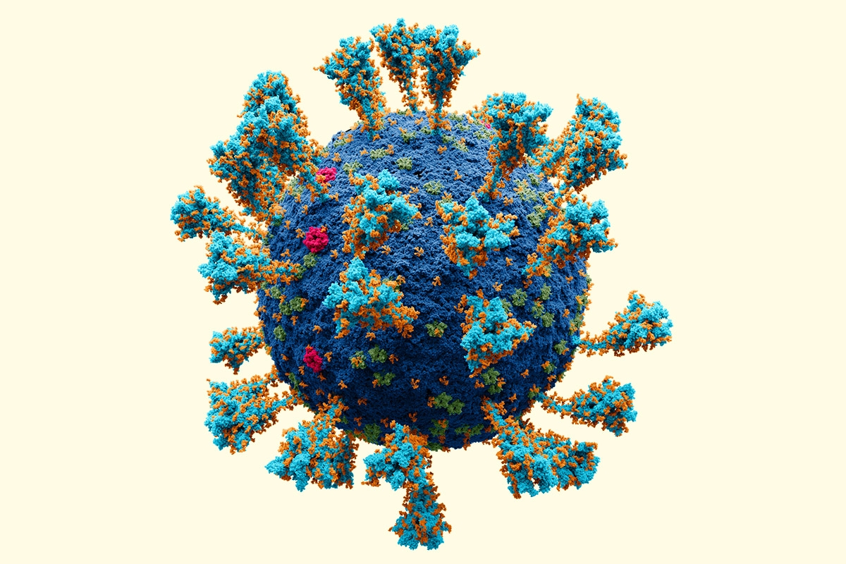 Sars-CoV-2 mit den aus ­seiner Hülle herausragenden Spike-­Proteinen