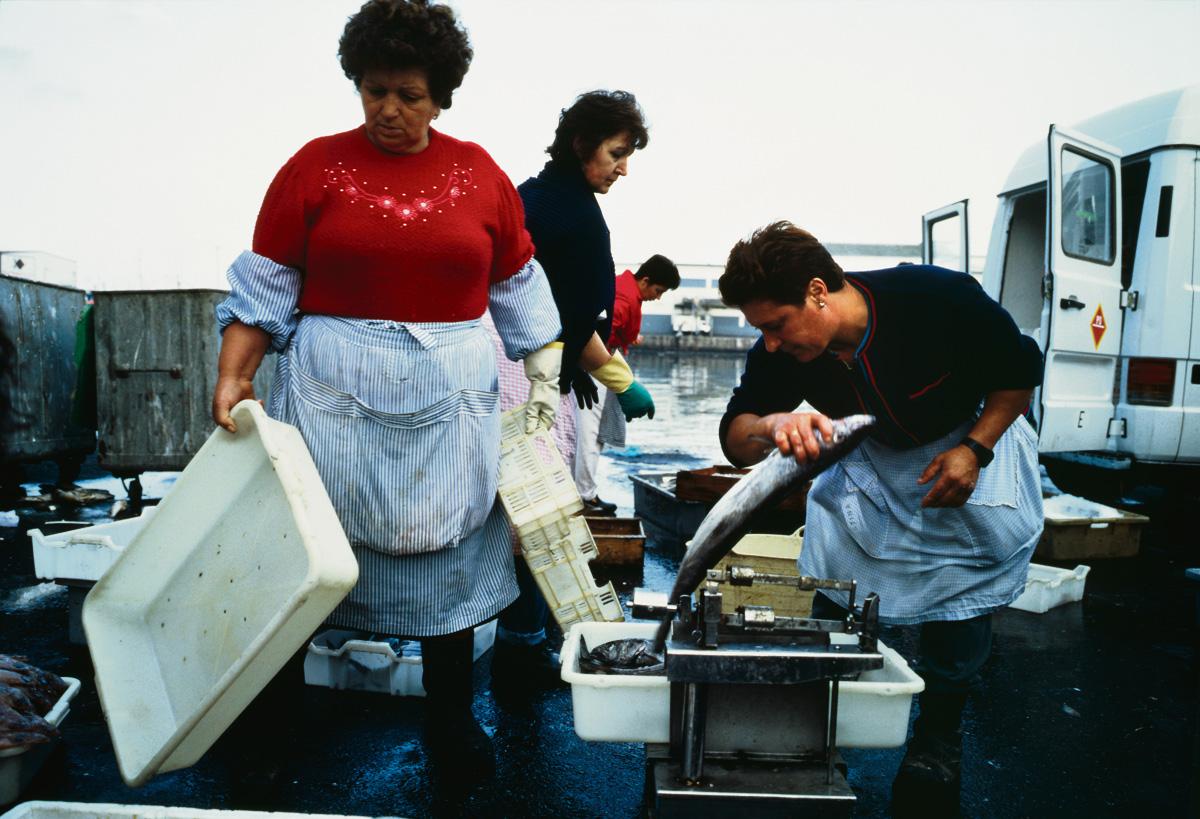 Arbeiterinnen zwischen Abfall, Plastik und Fisch