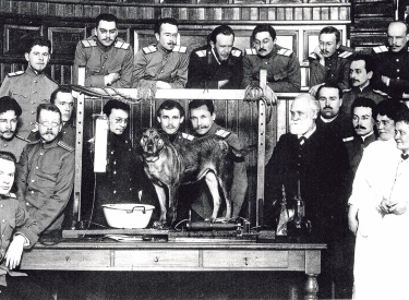 Gruppenbild mit Proband. Iwan Pawlow (rechts, mit weißem Bart) bei der Vorführung seiner Hundeexperimente, Moskau 1925