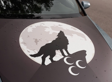 Symbol der Grauen Wölfe auf Motorhaube