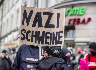 Nazi-Schweine