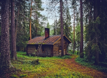 Einsame Hütte im Wald ohne Smartphone